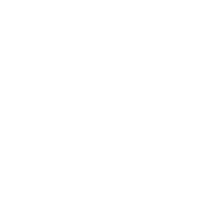Leadership
