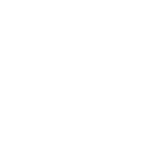Learning Organization